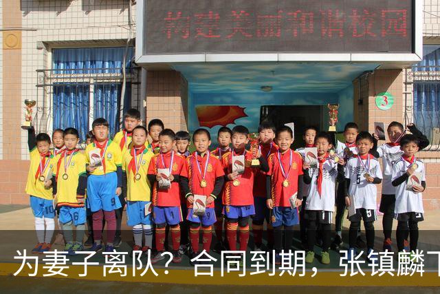 为妻子离队？合同到期，张镇麟下家4选1，广东2队有机会